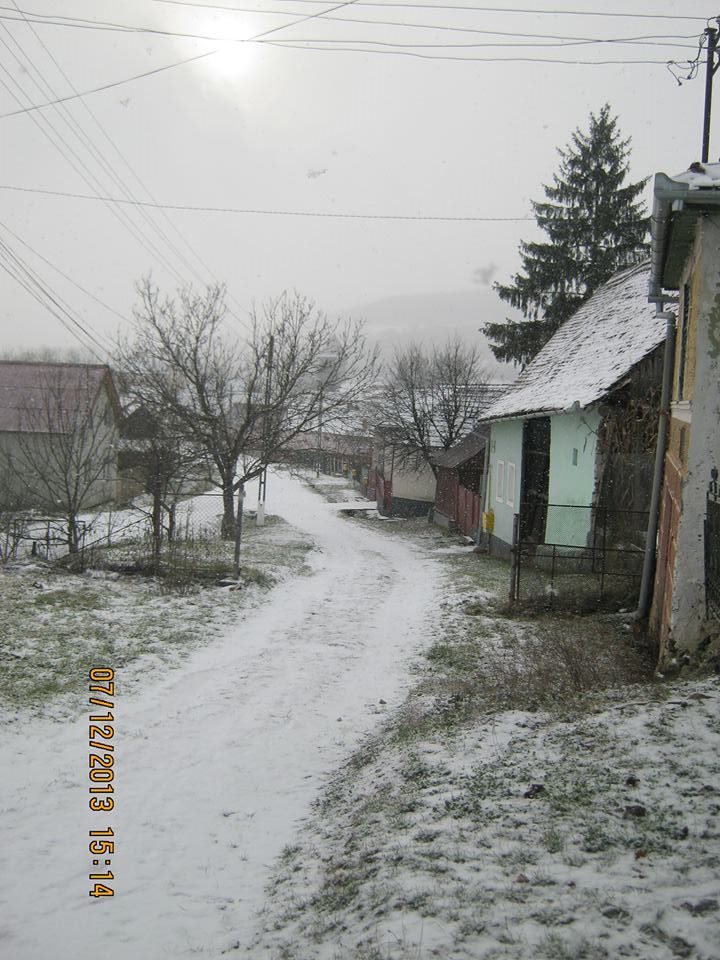 Bild 8 von 9  -  120 kB