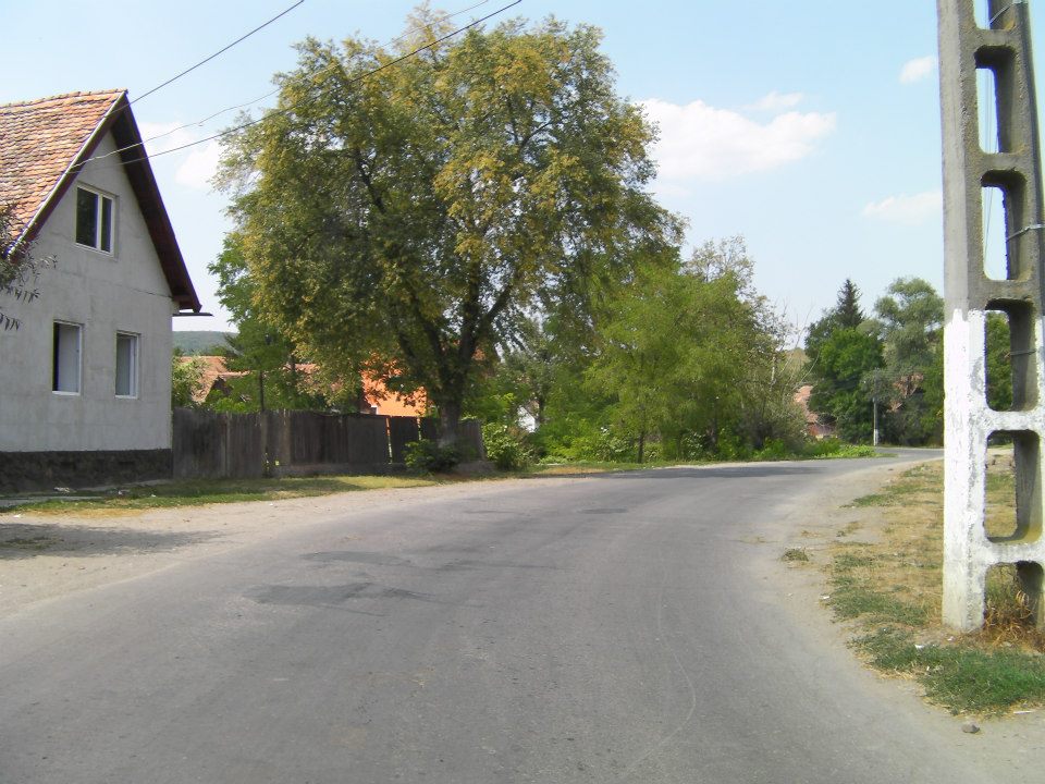 Bild 6 von 44  -  130 kB