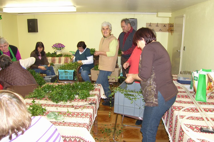 Bild 10 von 99  -  113 kB