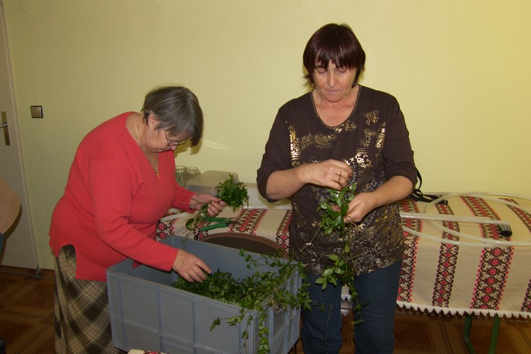 Bild 11 von 99  -  73 kB