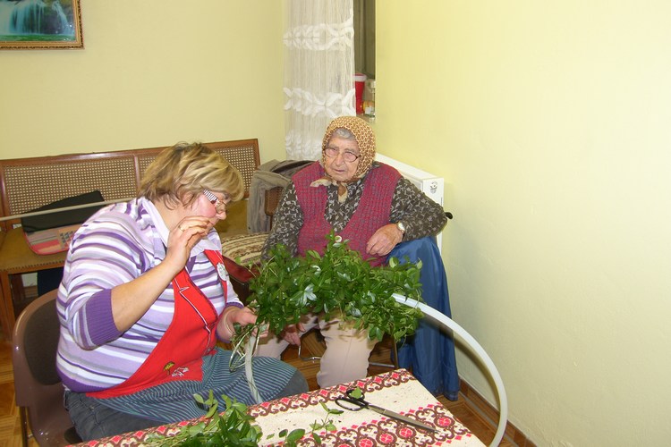 Bild 15 von 99  -  88 kB