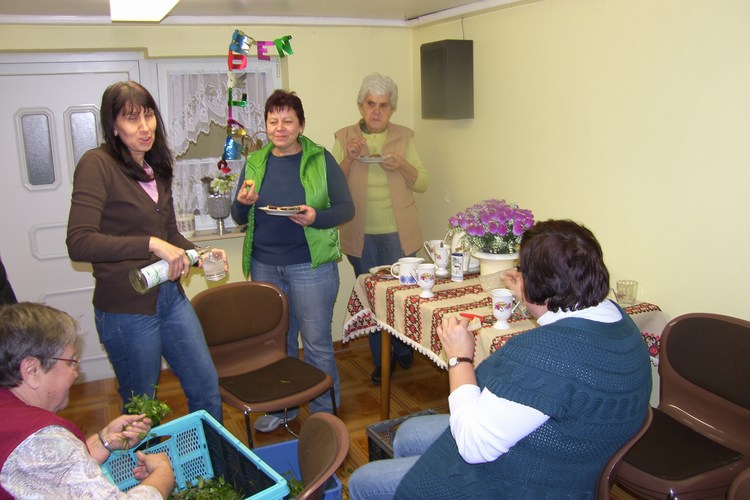 Bild 19 von 99  -  87 kB