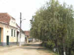 AUT_7858.jpg (79687 Byte)