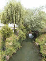 AUT_7860.jpg (55650 Byte)