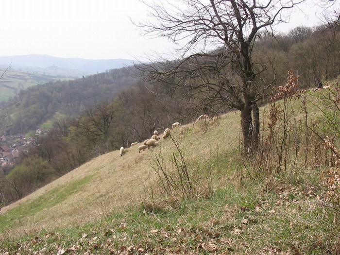 Bild 1 von 15  -  138 kB