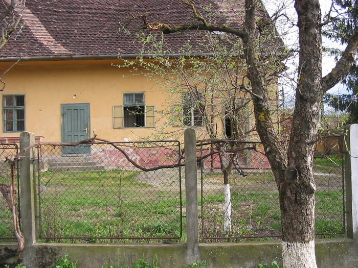 Bild 6 von 15  -  164 kB