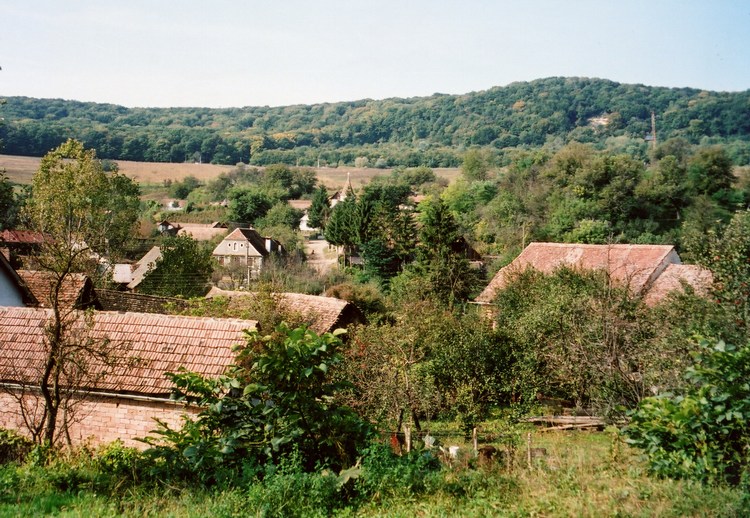Bild 3 von 4  -  163 kB