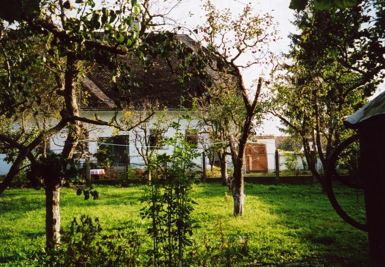 Bild 8 von 9  -  186 kB
